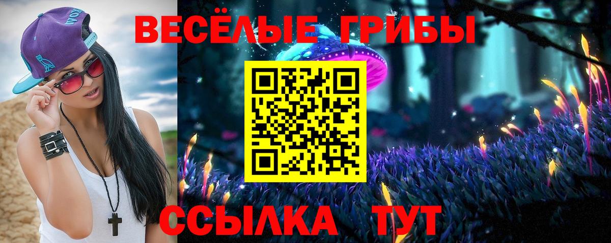 Галлюциногенные грибы Psilocybine cubensis Узловая